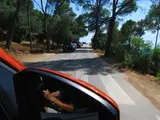 Volkswagen T-CROSS LIFE 1.0 TSI 110CV 2022 — 17/17